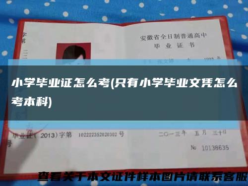 小学毕业证怎么考(只有小学毕业文凭怎么考本科)缩略图