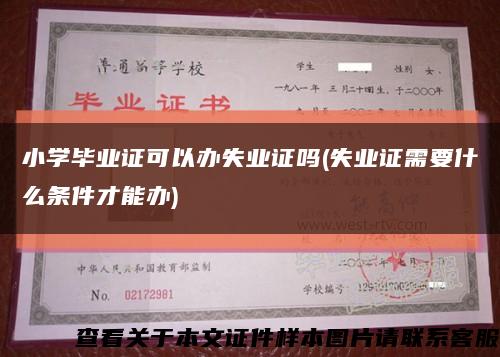 小学毕业证可以办失业证吗(失业证需要什么条件才能办)缩略图