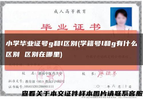 小学毕业证号g和l区别(学籍号l和g有什么区别 区别在哪里)缩略图