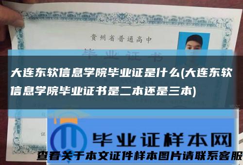 大连东软信息学院毕业证是什么(大连东软信息学院毕业证书是二本还是三本)缩略图