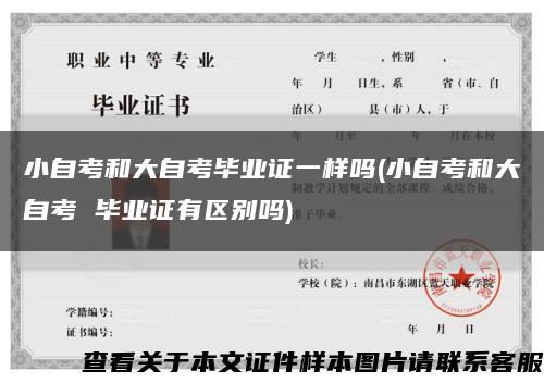 小自考和大自考毕业证一样吗(小自考和大自考 毕业证有区别吗)缩略图