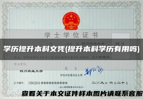 学历提升本科文凭(提升本科学历有用吗)缩略图