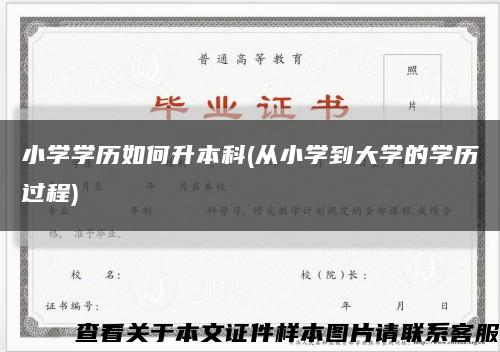 小学学历如何升本科(从小学到大学的学历过程)缩略图