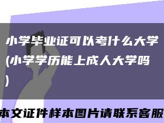 小学毕业证可以考什么大学(小学学历能上成人大学吗)缩略图