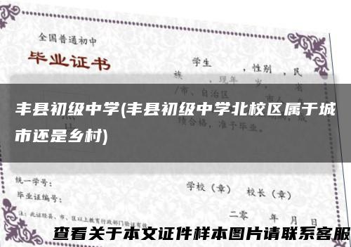 丰县初级中学(丰县初级中学北校区属于城市还是乡村)缩略图