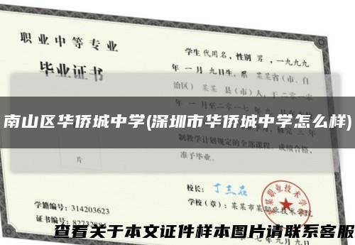 南山区华侨城中学(深圳市华侨城中学怎么样)缩略图