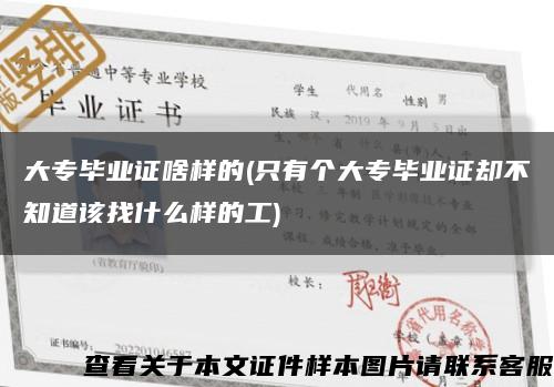 大专毕业证啥样的(只有个大专毕业证却不知道该找什么样的工)缩略图