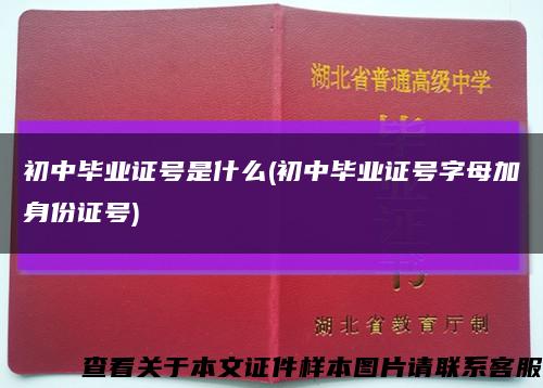 初中毕业证号是什么(初中毕业证号字母加身份证号)缩略图
