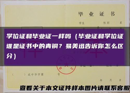 学位证和毕业证一样吗（毕业证和学位证谁是证书中的青铜？易美迅告诉你怎么区分）缩略图