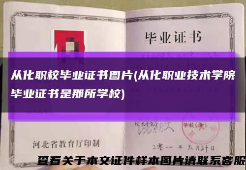 从化职校毕业证书图片(从化职业技术学院毕业证书是那所学校)缩略图