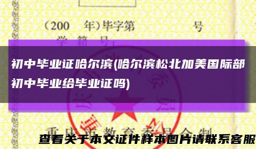 初中毕业证哈尔滨(哈尔滨松北加美国际部初中毕业给毕业证吗)缩略图