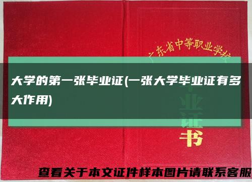 大学的第一张毕业证(一张大学毕业证有多大作用)缩略图