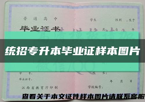 统招专升本毕业证样本图片缩略图
