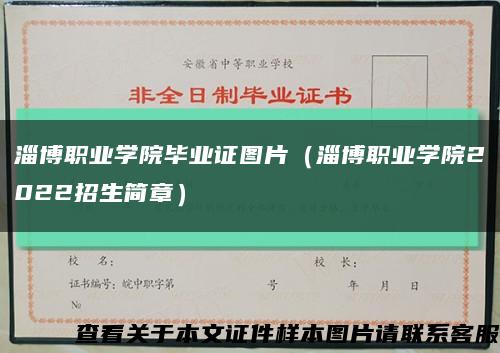 淄博职业学院毕业证图片（淄博职业学院2022招生简章）缩略图