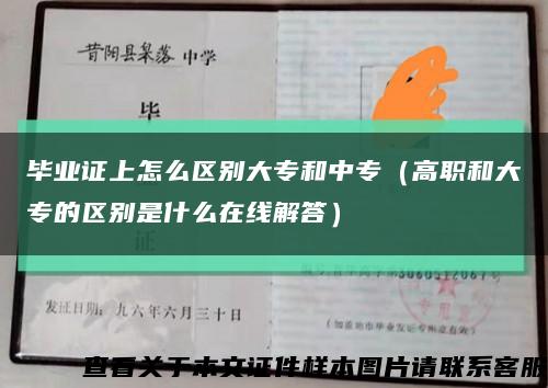 毕业证上怎么区别大专和中专（高职和大专的区别是什么在线解答）缩略图