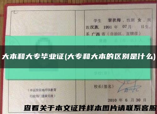 大本和大专毕业证(大专和大本的区别是什么)缩略图