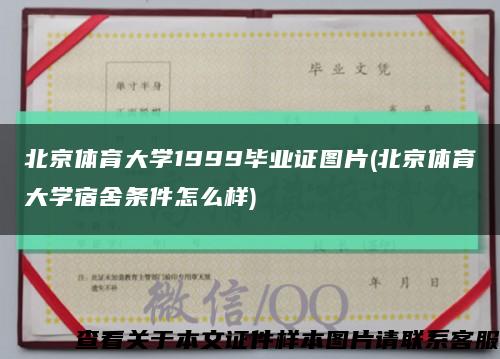 北京体育大学1999毕业证图片(北京体育大学宿舍条件怎么样)缩略图