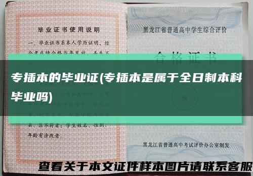 专插本的毕业证(专插本是属于全日制本科毕业吗)缩略图