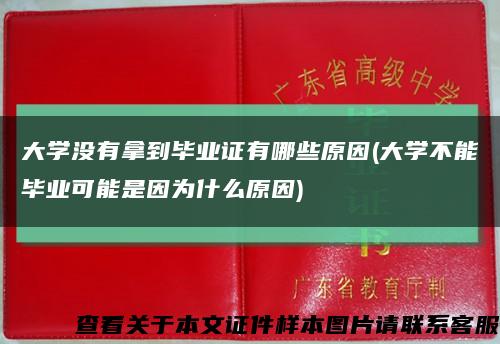 大学没有拿到毕业证有哪些原因(大学不能毕业可能是因为什么原因)缩略图