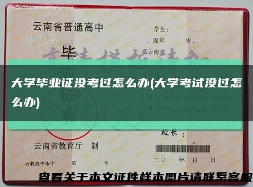 大学毕业证没考过怎么办(大学考试没过怎么办)缩略图
