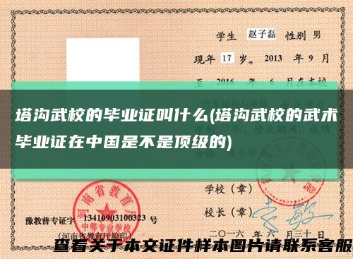 塔沟武校的毕业证叫什么(塔沟武校的武术毕业证在中国是不是顶级的)缩略图