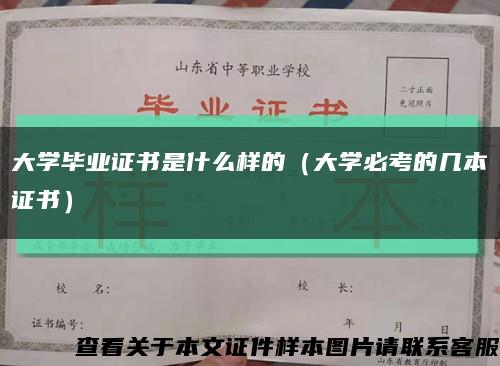 大学毕业证书是什么样的（大学必考的几本证书）缩略图