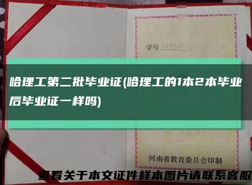 哈理工第二批毕业证(哈理工的1本2本毕业后毕业证一样吗)缩略图