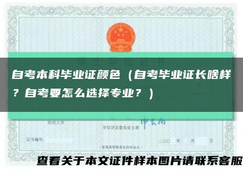 自考本科毕业证颜色（自考毕业证长啥样？自考要怎么选择专业？）缩略图
