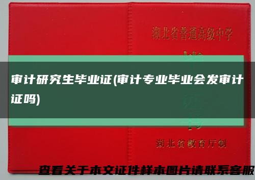 审计研究生毕业证(审计专业毕业会发审计证吗)缩略图