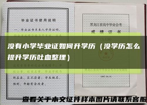 没有小学毕业证如何升学历（没学历怎么提升学历吐血整理）缩略图