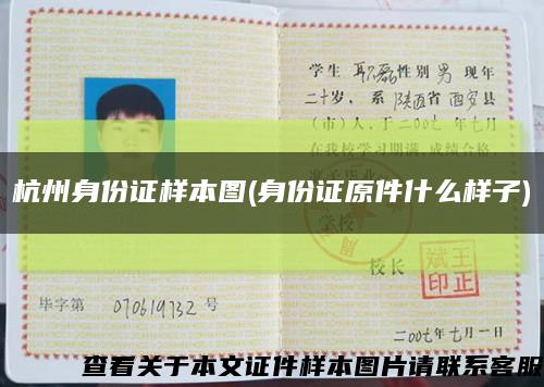 杭州身份证样本图(身份证原件什么样子)缩略图