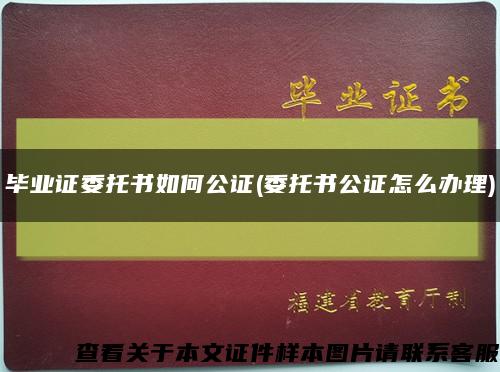 毕业证委托书如何公证(委托书公证怎么办理)缩略图