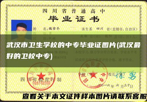 武汉市卫生学校的中专毕业证图片(武汉最好的卫校中专)缩略图