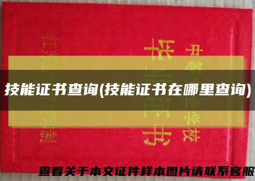 技能证书查询(技能证书在哪里查询)缩略图