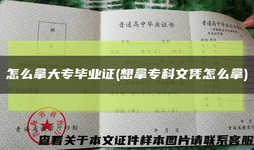 怎么拿大专毕业证(想拿专科文凭怎么拿)缩略图
