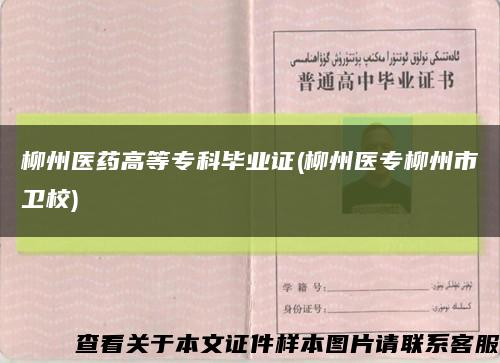 柳州医药高等专科毕业证(柳州医专柳州市卫校)缩略图