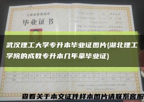 武汉理工大学专升本毕业证图片(湖北理工学院的成教专升本几年拿毕业证)缩略图