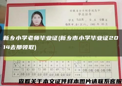 新乡小学老师毕业证(新乡市小学毕业证2014去那领取)缩略图