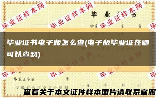 毕业证书电子版怎么查(电子版毕业证在哪可以查到)缩略图
