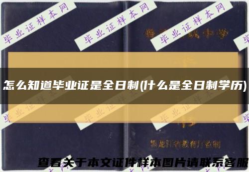 怎么知道毕业证是全日制(什么是全日制学历)缩略图