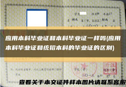应用本科毕业证和本科毕业证一样吗(应用本科毕业证和统招本科的毕业证的区别)缩略图