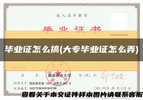 毕业证怎么搞(大专毕业证怎么弄)缩略图