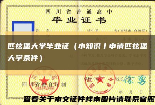匹兹堡大学毕业证（小知识丨申请匹兹堡大学条件）缩略图