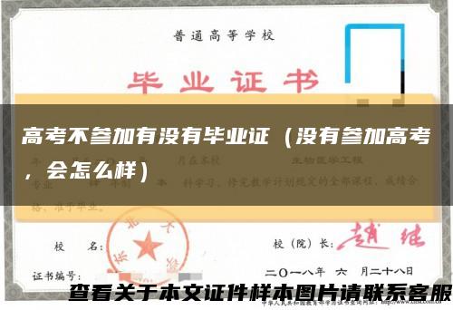 高考不参加有没有毕业证（没有参加高考，会怎么样）缩略图