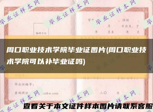 周口职业技术学院毕业证图片(周口职业技术学院可以补毕业证吗)缩略图