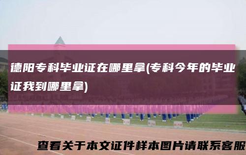 德阳专科毕业证在哪里拿(专科今年的毕业证我到哪里拿)缩略图