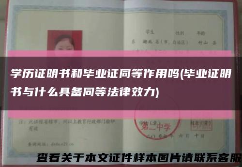 学历证明书和毕业证同等作用吗(毕业证明书与什么具备同等法律效力)缩略图