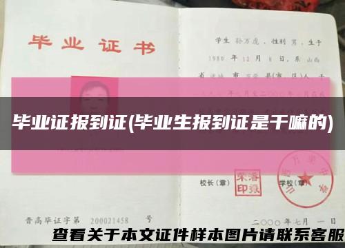 毕业证报到证(毕业生报到证是干嘛的)缩略图