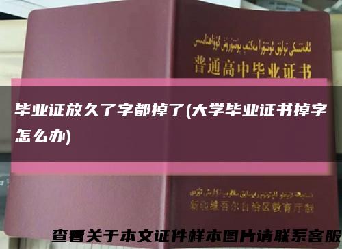 毕业证放久了字都掉了(大学毕业证书掉字怎么办)缩略图