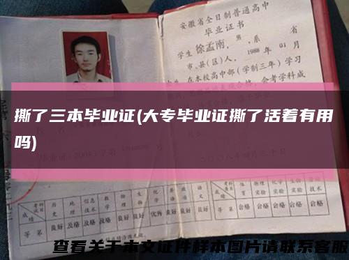 撕了三本毕业证(大专毕业证撕了活着有用吗)缩略图